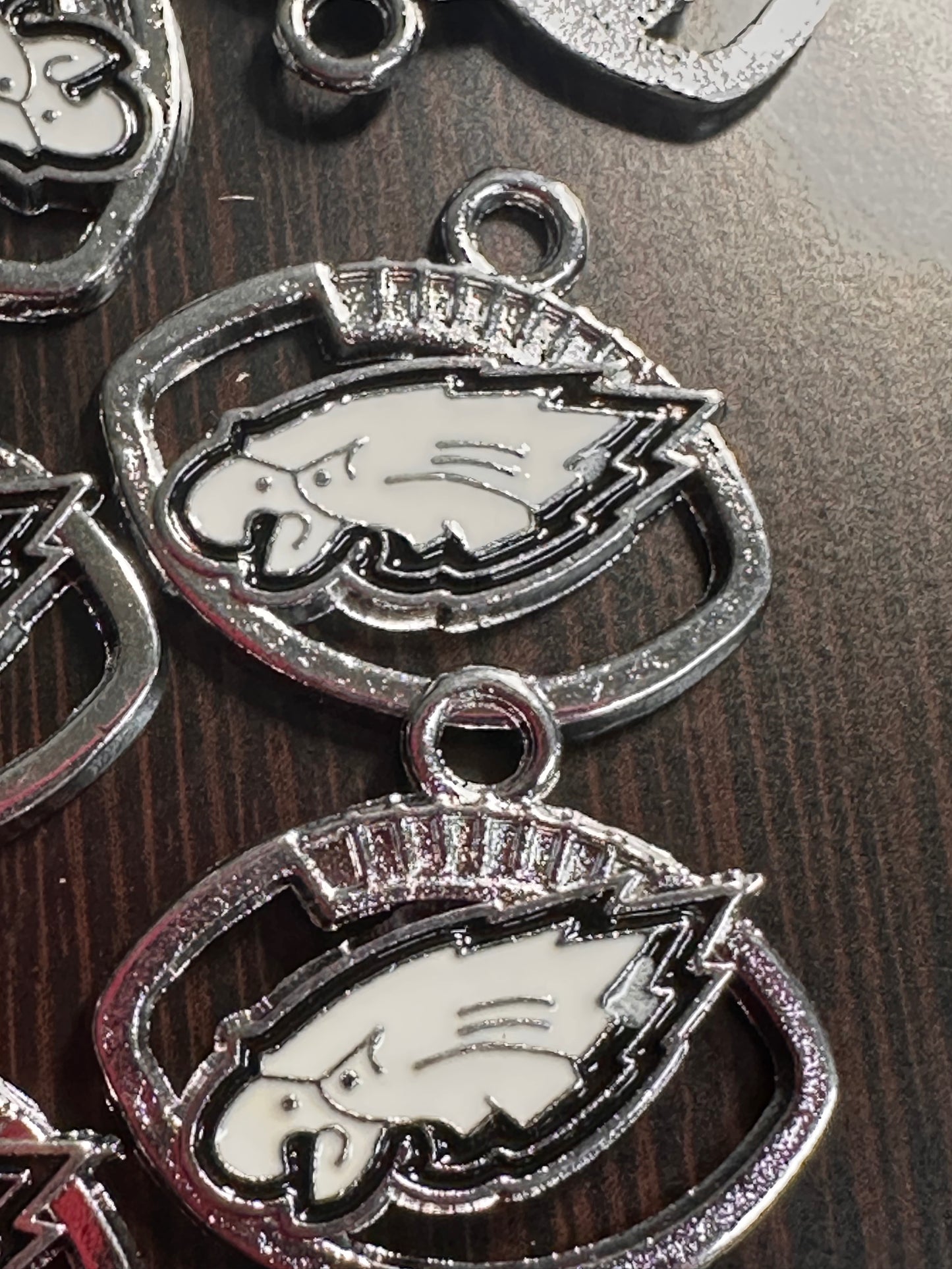 Enameled metal charms/ Philadelphia Eagles/ sports team pendant/ DIY charm bracelet/ DIY necklace