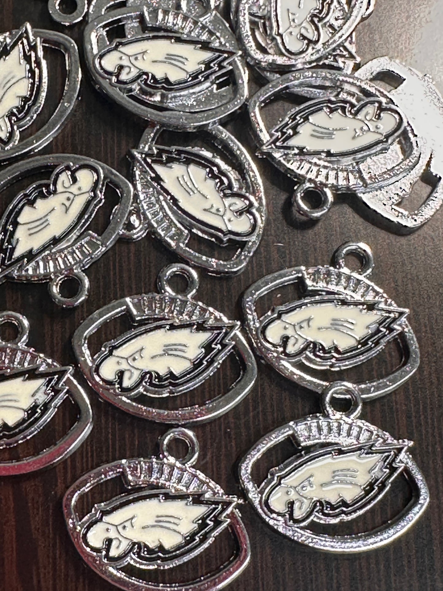 Enameled metal charms/ Philadelphia Eagles/ sports team pendant/ DIY charm bracelet/ DIY necklace
