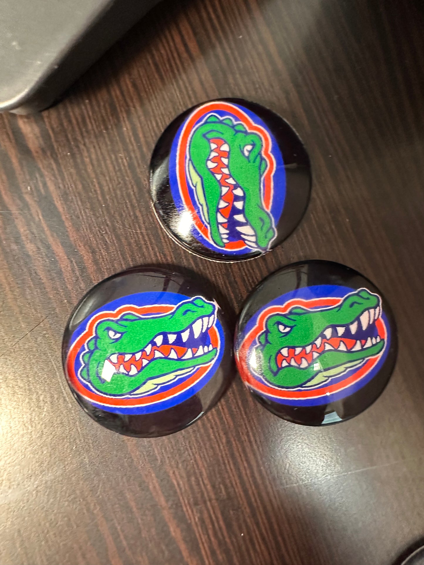 Florida Gators Cabochons acrylic charms pendants/ perfect for glueing on your DIY, charm bracelets, necklaces, bag charms, magnets, and so much more 10 different styles