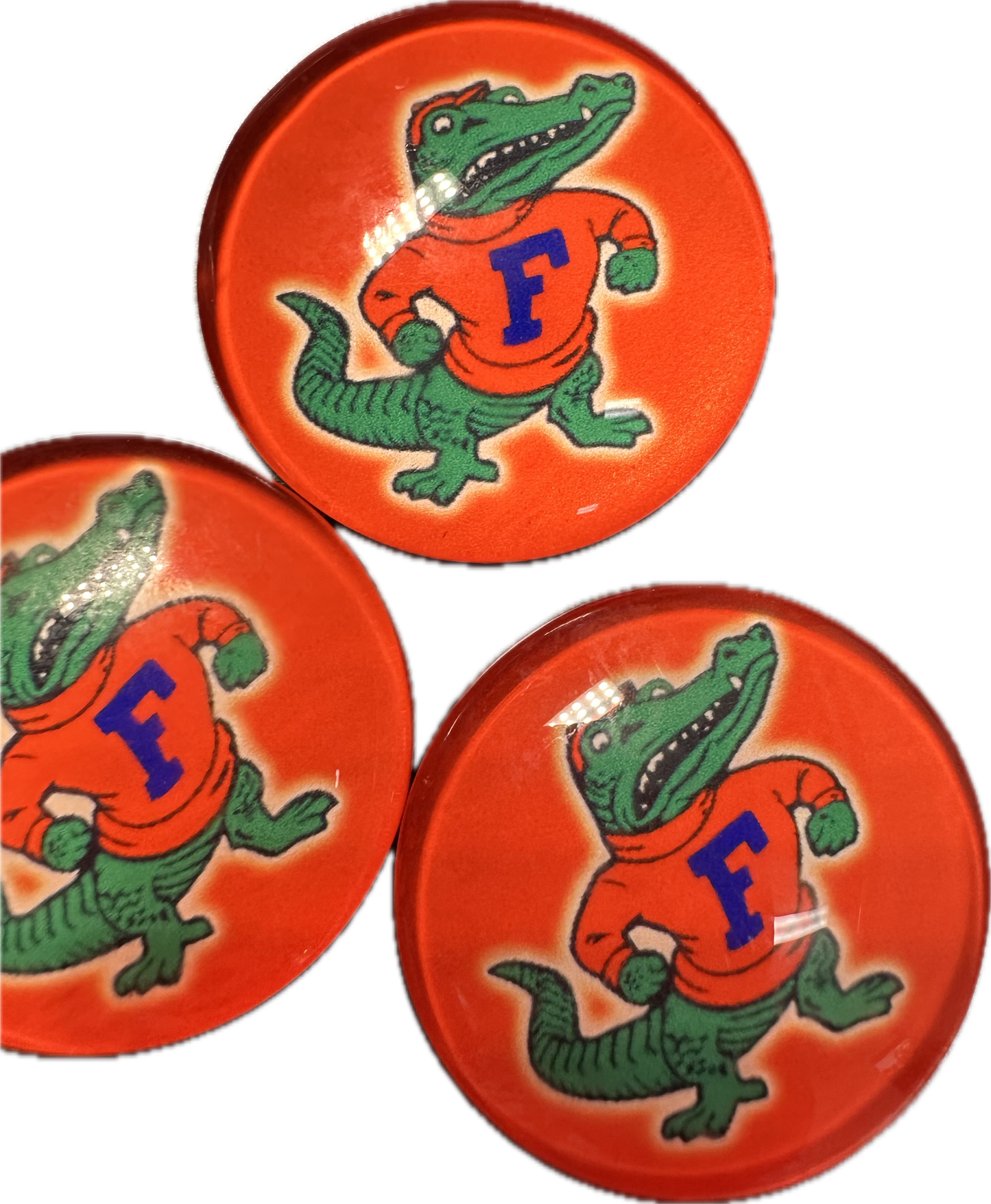 Florida Gators Cabochons acrylic charms pendants/ perfect for glueing on your DIY, charm bracelets, necklaces, bag charms, magnets, and so much more 10 different styles