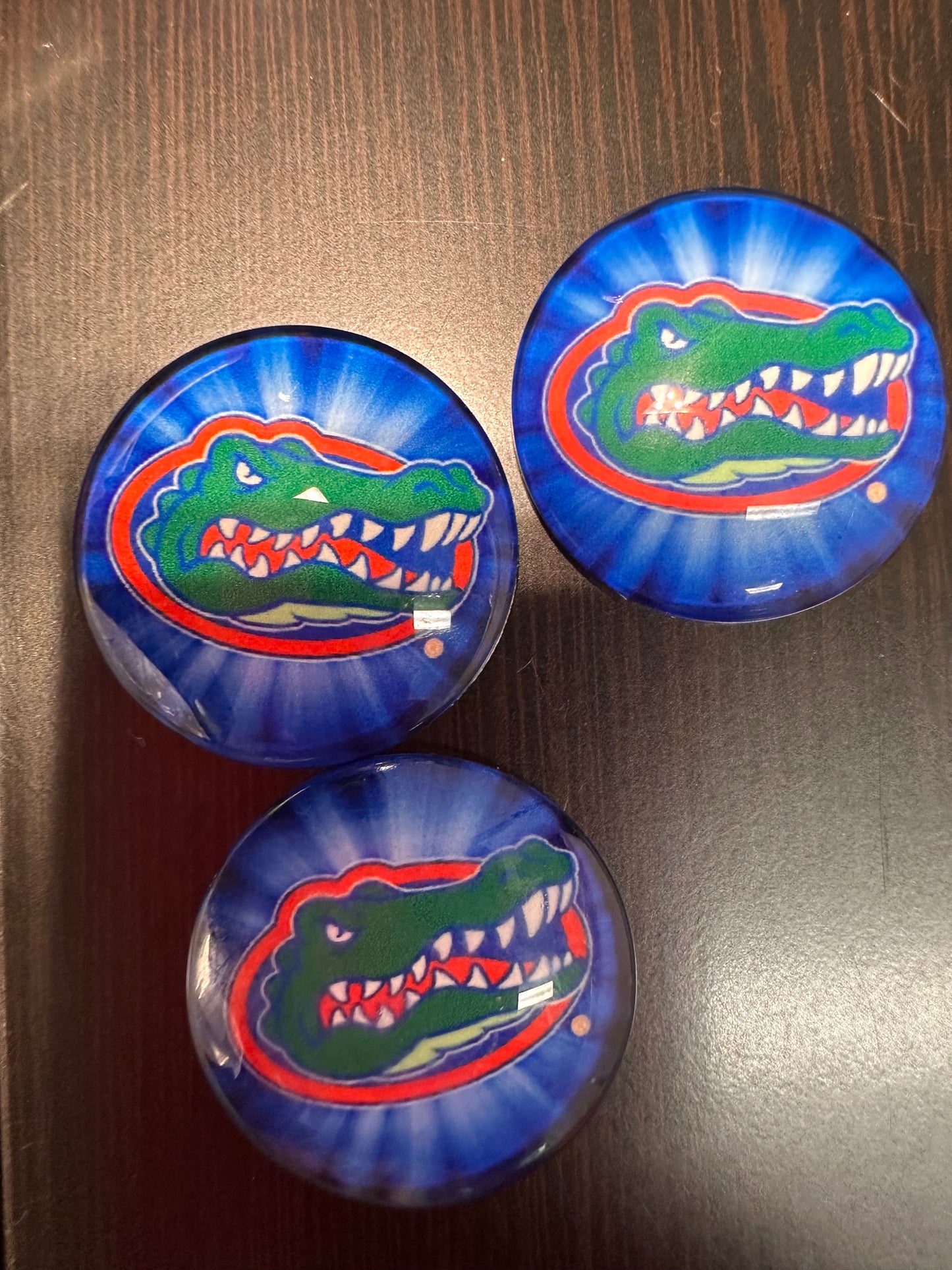 Florida Gators Cabochons acrylic charms pendants/ perfect for glueing on your DIY, charm bracelets, necklaces, bag charms, magnets, and so much more 10 different styles