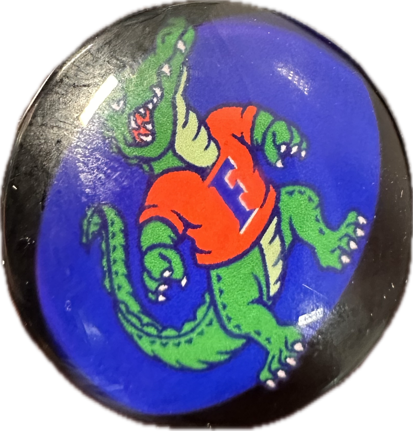 Florida Gators Cabochons acrylic charms pendants/ perfect for glueing on your DIY, charm bracelets, necklaces, bag charms, magnets, and so much more 10 different styles