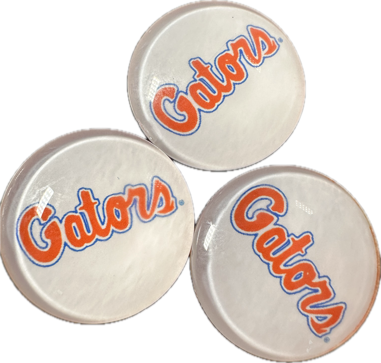 Florida Gators Cabochons acrylic charms pendants/ perfect for glueing on your DIY, charm bracelets, necklaces, bag charms, magnets, and so much more 10 different styles