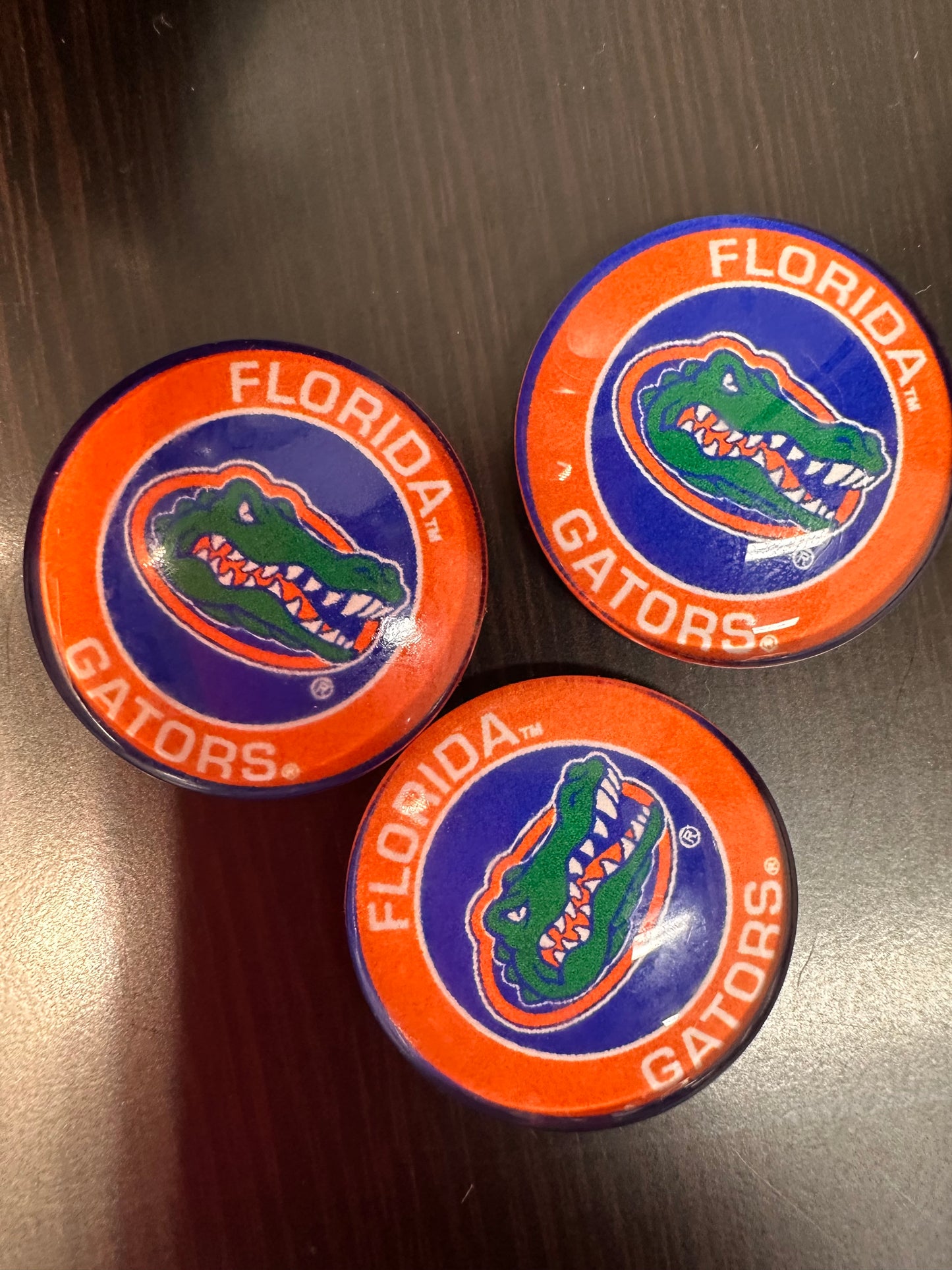 Florida Gators Cabochons acrylic charms pendants/ perfect for glueing on your DIY, charm bracelets, necklaces, bag charms, magnets, and so much more 10 different styles