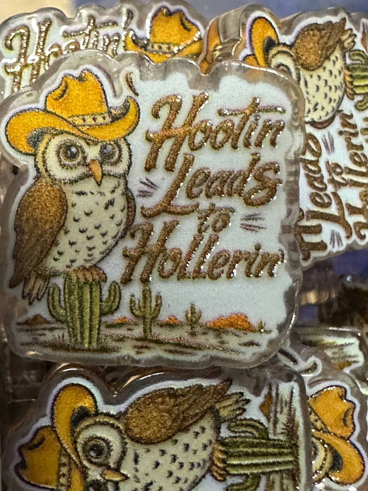 Hootin Owl acrylic focal bead- set of 2/ focal bead/ pen beading / keychain bead/ western - country