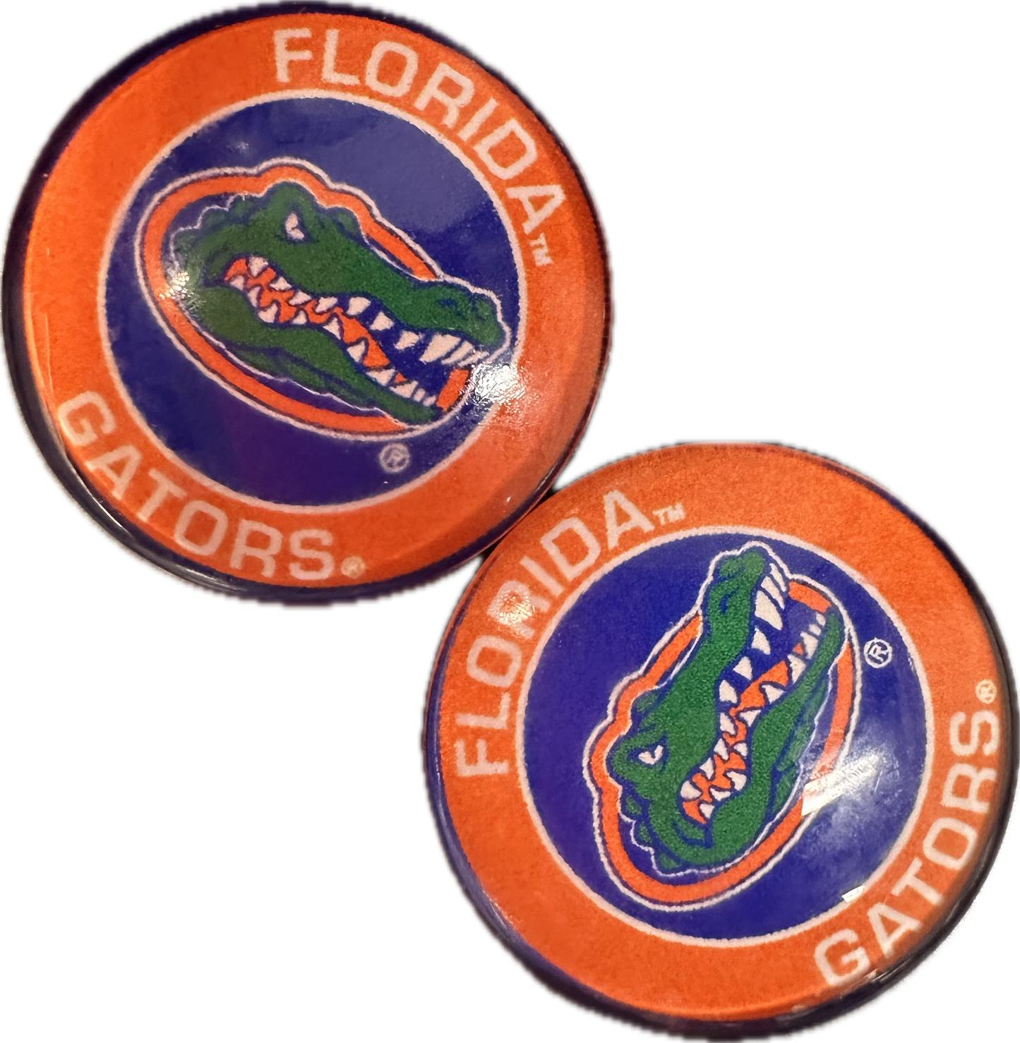 Florida Gators Cabochons acrylic charms pendants/ perfect for glueing on your DIY, charm bracelets, necklaces, bag charms, magnets, and so much more 10 different styles