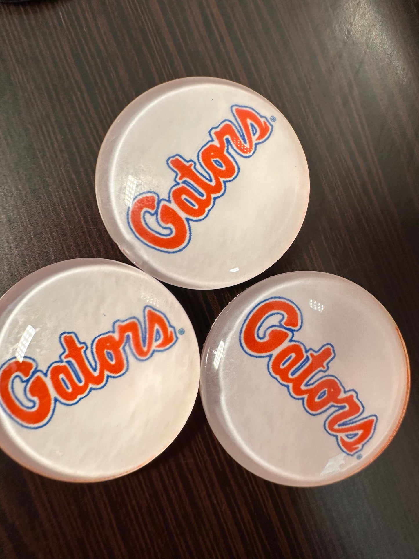 Florida Gators Cabochons acrylic charms pendants/ perfect for glueing on your DIY, charm bracelets, necklaces, bag charms, magnets, and so much more 10 different styles