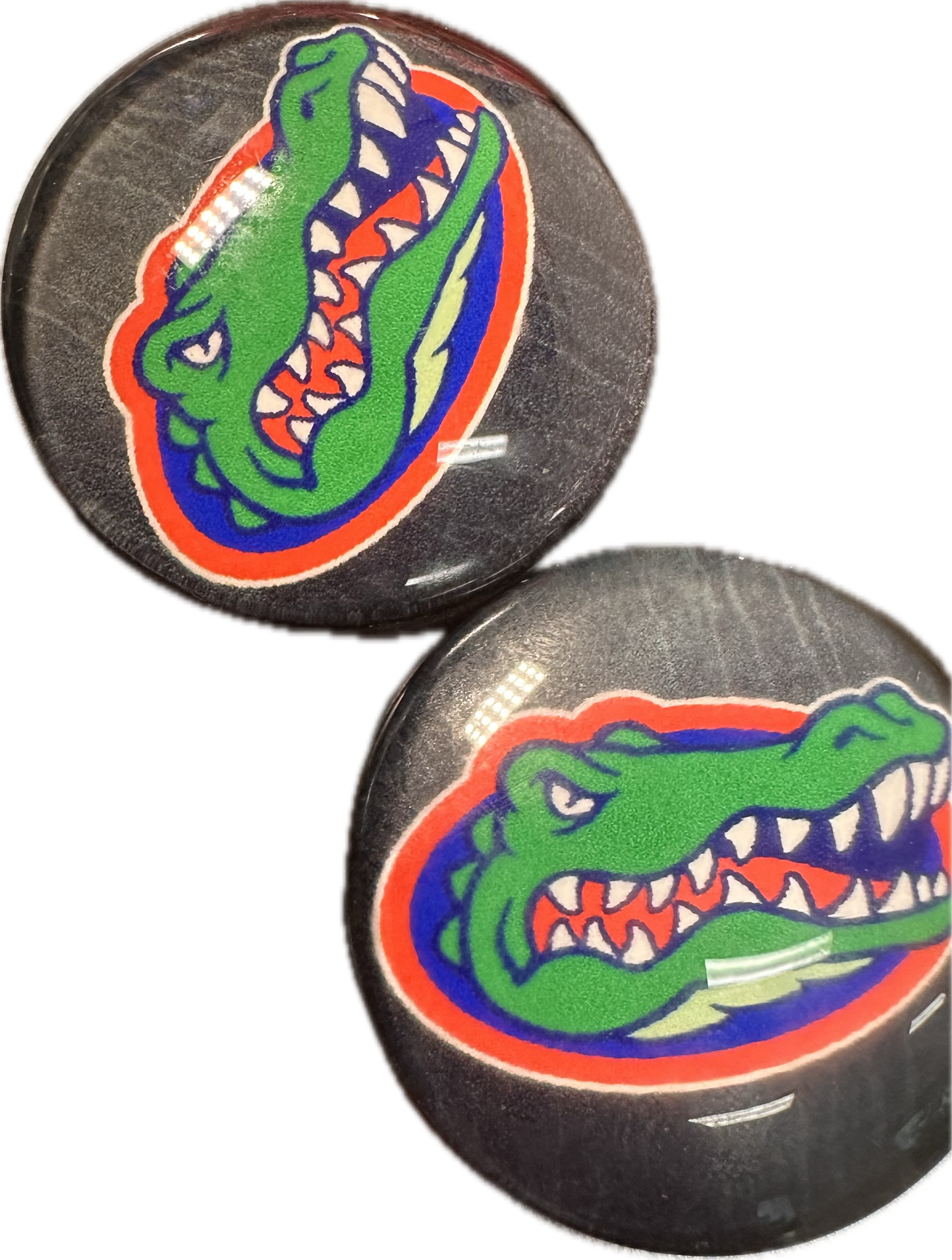Florida Gators Cabochons acrylic charms pendants/ perfect for glueing on your DIY, charm bracelets, necklaces, bag charms, magnets, and so much more 10 different styles