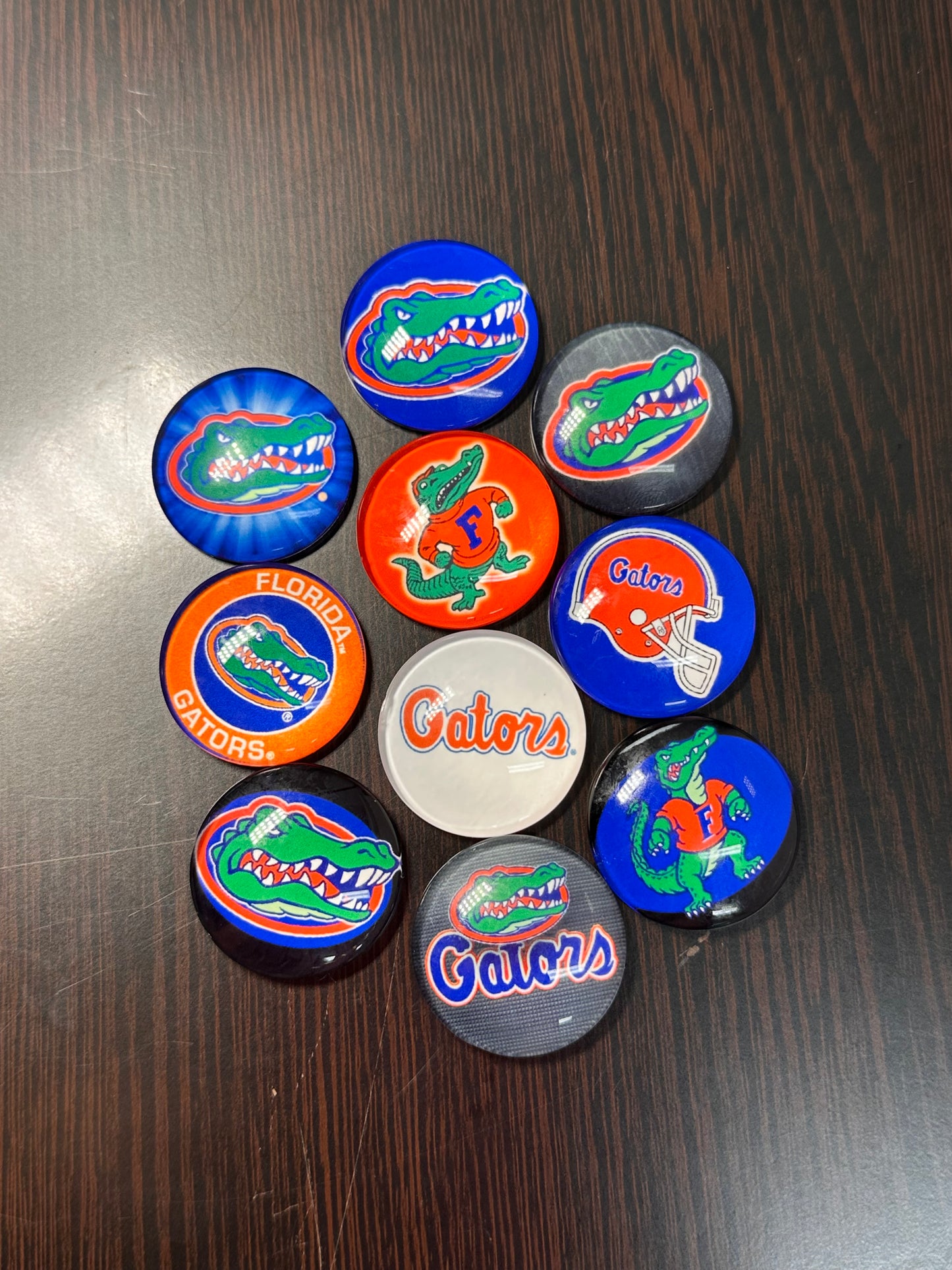 Florida Gators Cabochons acrylic charms pendants/ perfect for glueing on your DIY, charm bracelets, necklaces, bag charms, magnets, and so much more 10 different styles