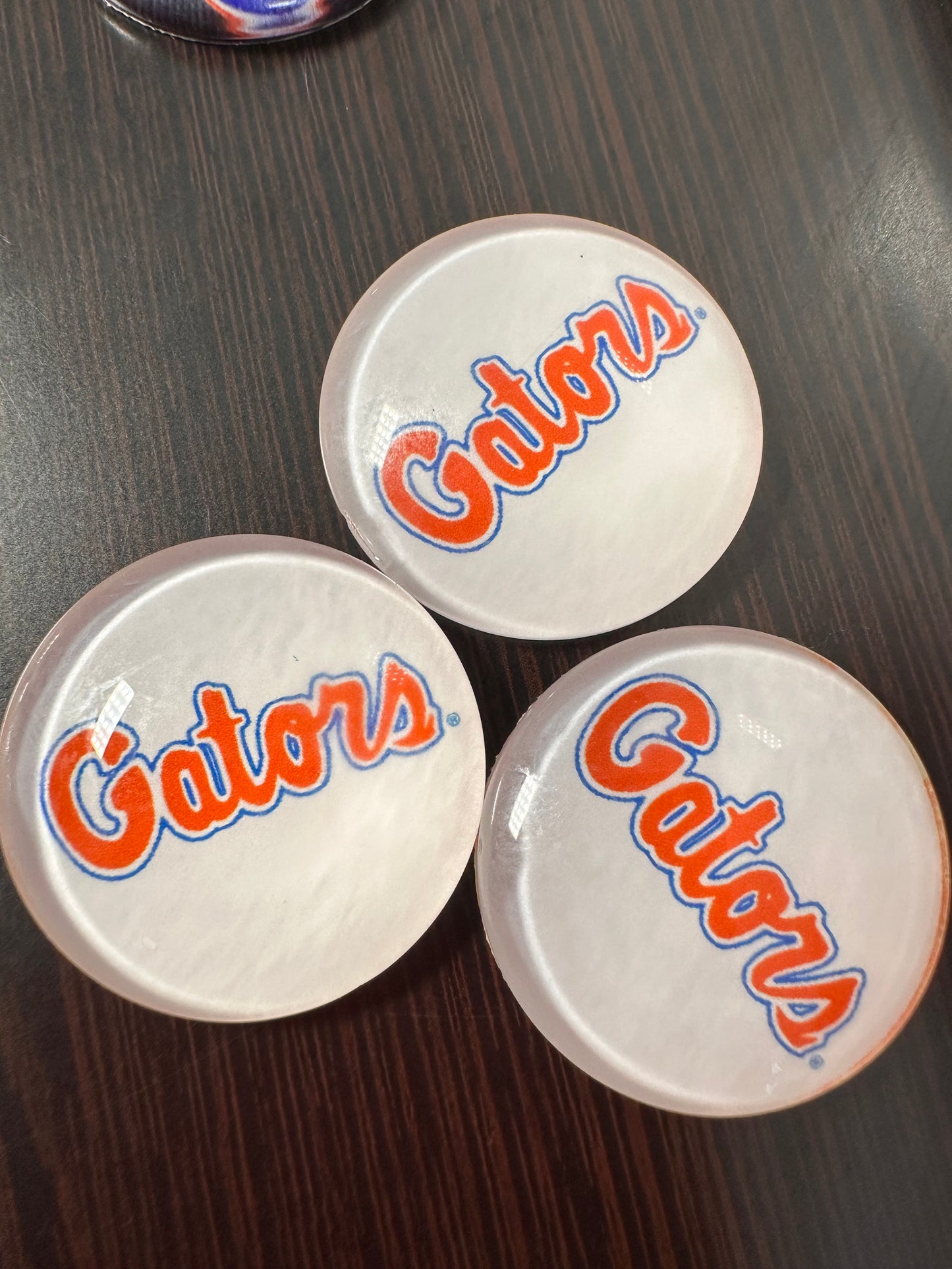 Florida Gators Cabochons acrylic charms pendants/ perfect for glueing on your DIY, charm bracelets, necklaces, bag charms, magnets, and so much more 10 different styles