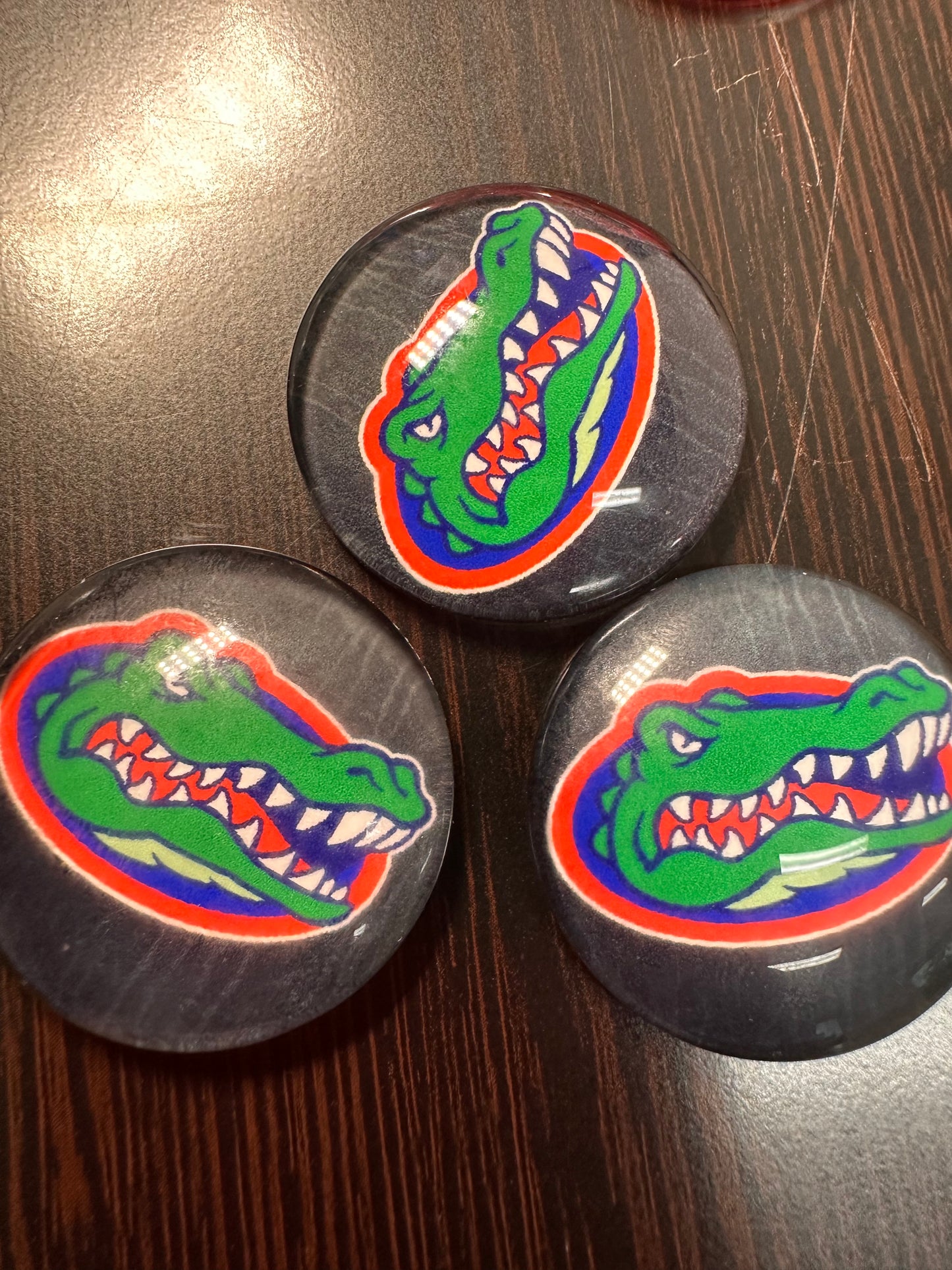 Florida Gators Cabochons acrylic charms pendants/ perfect for glueing on your DIY, charm bracelets, necklaces, bag charms, magnets, and so much more 10 different styles