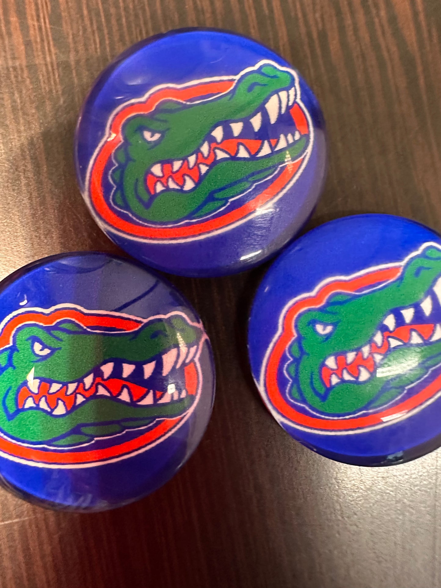 Florida Gators Cabochons acrylic charms pendants/ perfect for glueing on your DIY, charm bracelets, necklaces, bag charms, magnets, and so much more 10 different styles