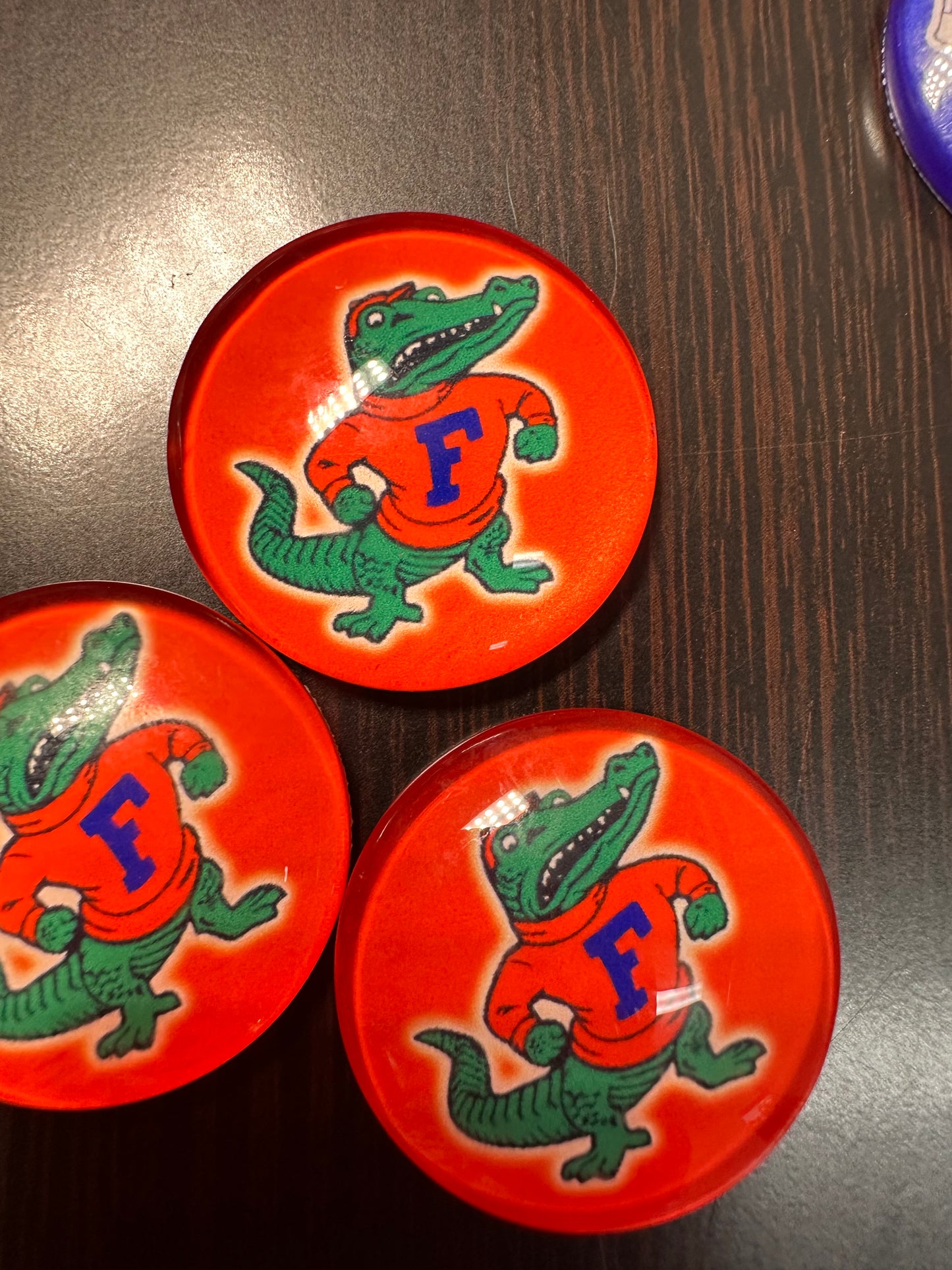 Florida Gators Cabochons acrylic charms pendants/ perfect for glueing on your DIY, charm bracelets, necklaces, bag charms, magnets, and so much more 10 different styles