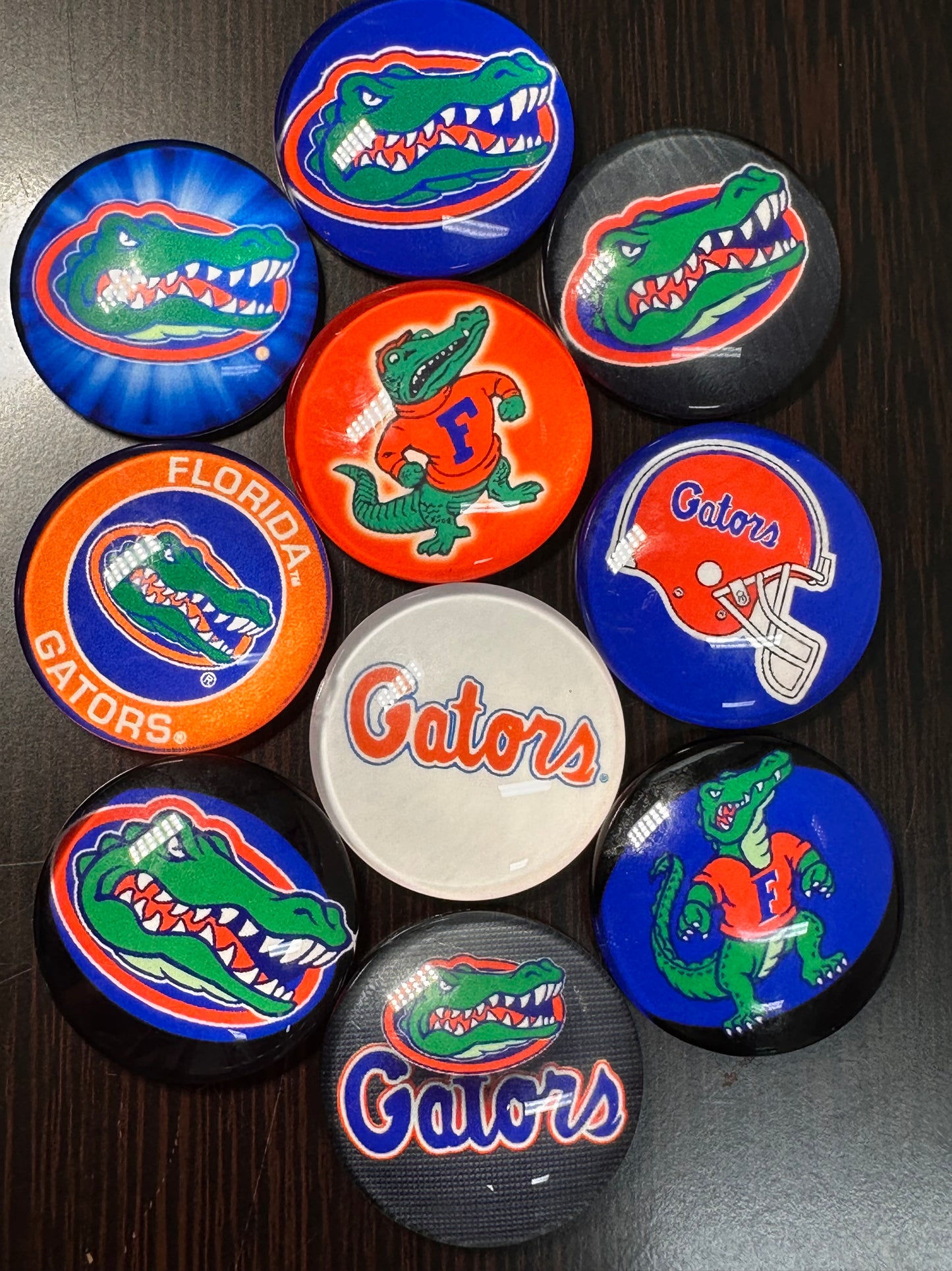 Florida Gators Cabochons acrylic charms pendants/ perfect for glueing on your DIY, charm bracelets, necklaces, bag charms, magnets, and so much more 10 different styles