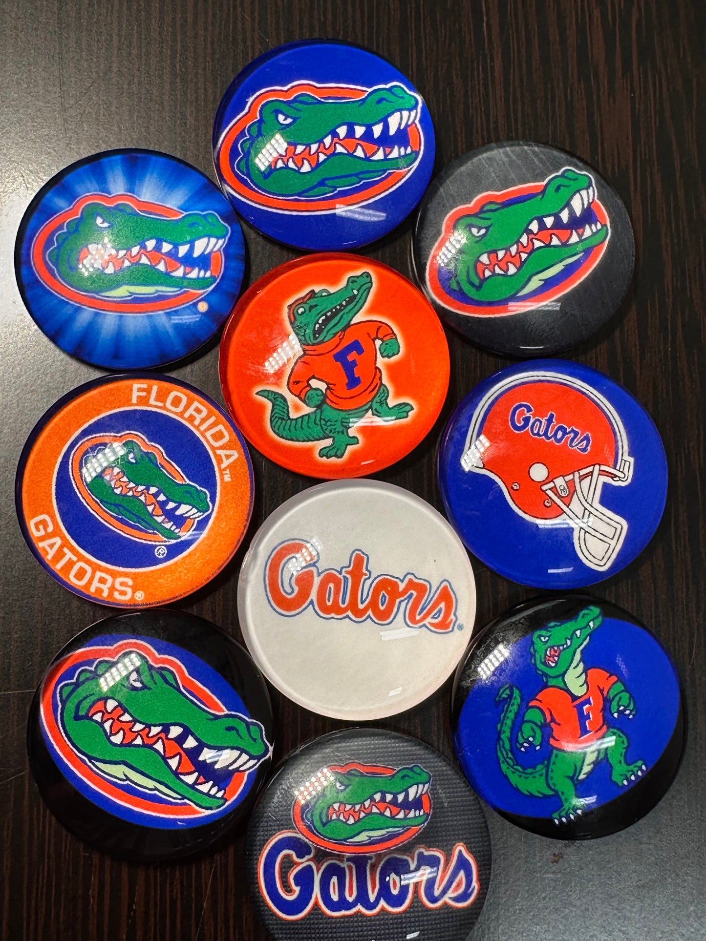 Florida Gators Cabochons acrylic charms pendants/ perfect for glueing on your DIY, charm bracelets, necklaces, bag charms, magnets, and so much more 10 different styles