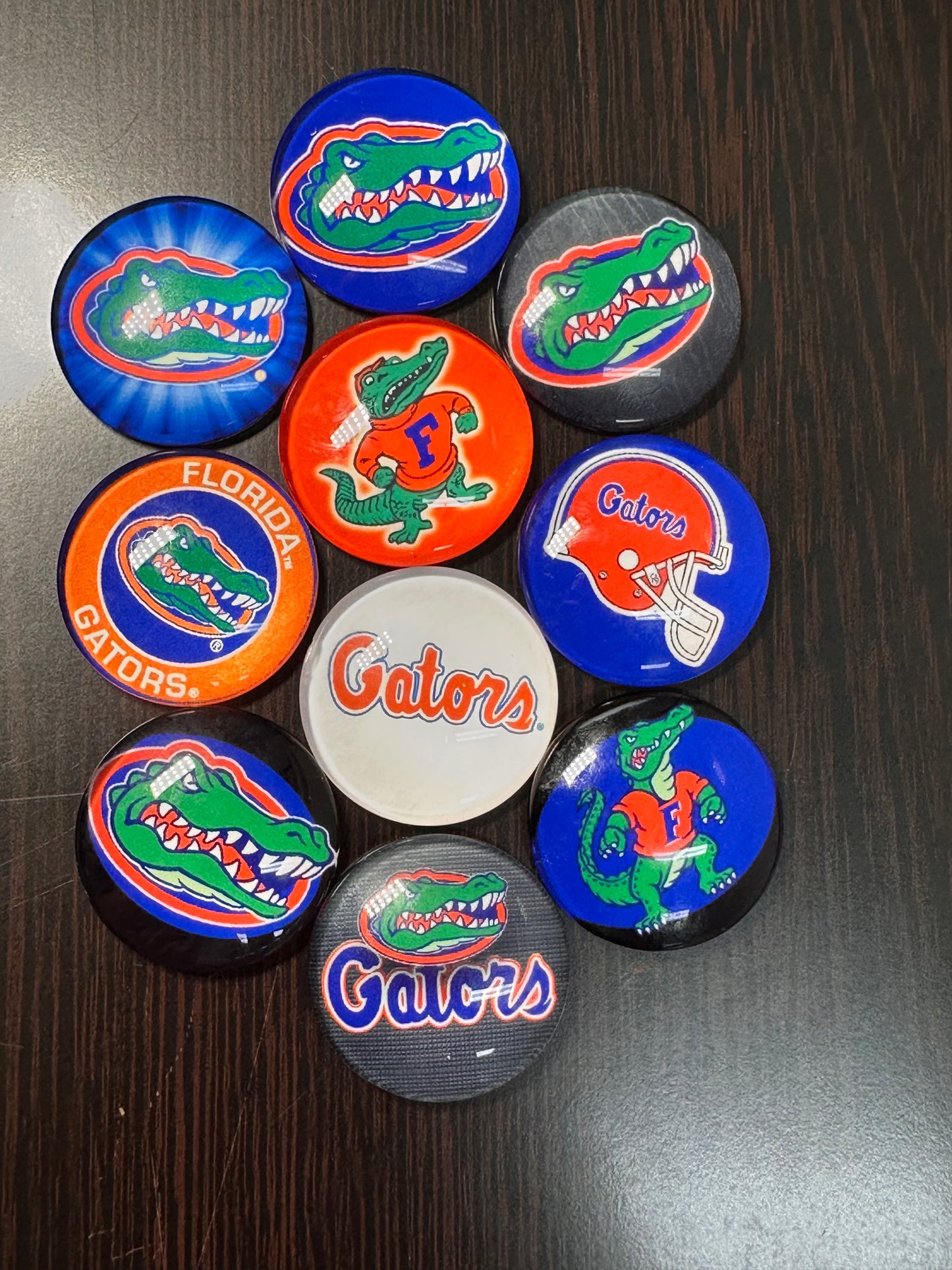 Florida Gators Cabochons acrylic charms pendants/ perfect for glueing on your DIY, charm bracelets, necklaces, bag charms, magnets, and so much more 10 different styles