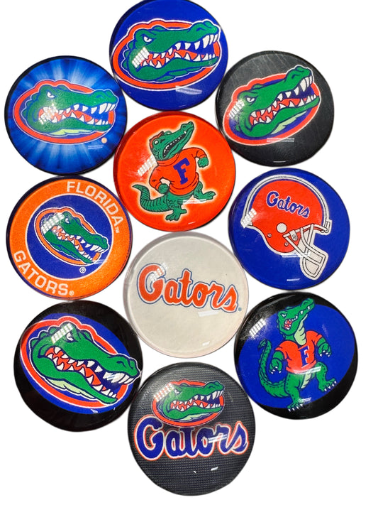Florida Gators Cabochons acrylic charms pendants/ perfect for glueing on your DIY, charm bracelets, necklaces, bag charms, magnets, and so much more 10 different styles