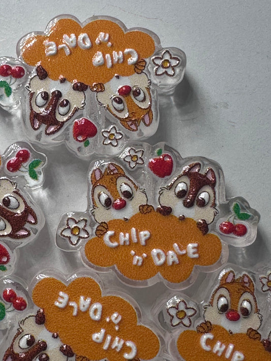 Acrylic focal bead- set of 2/ focal bead/ pen beading / keychain bead