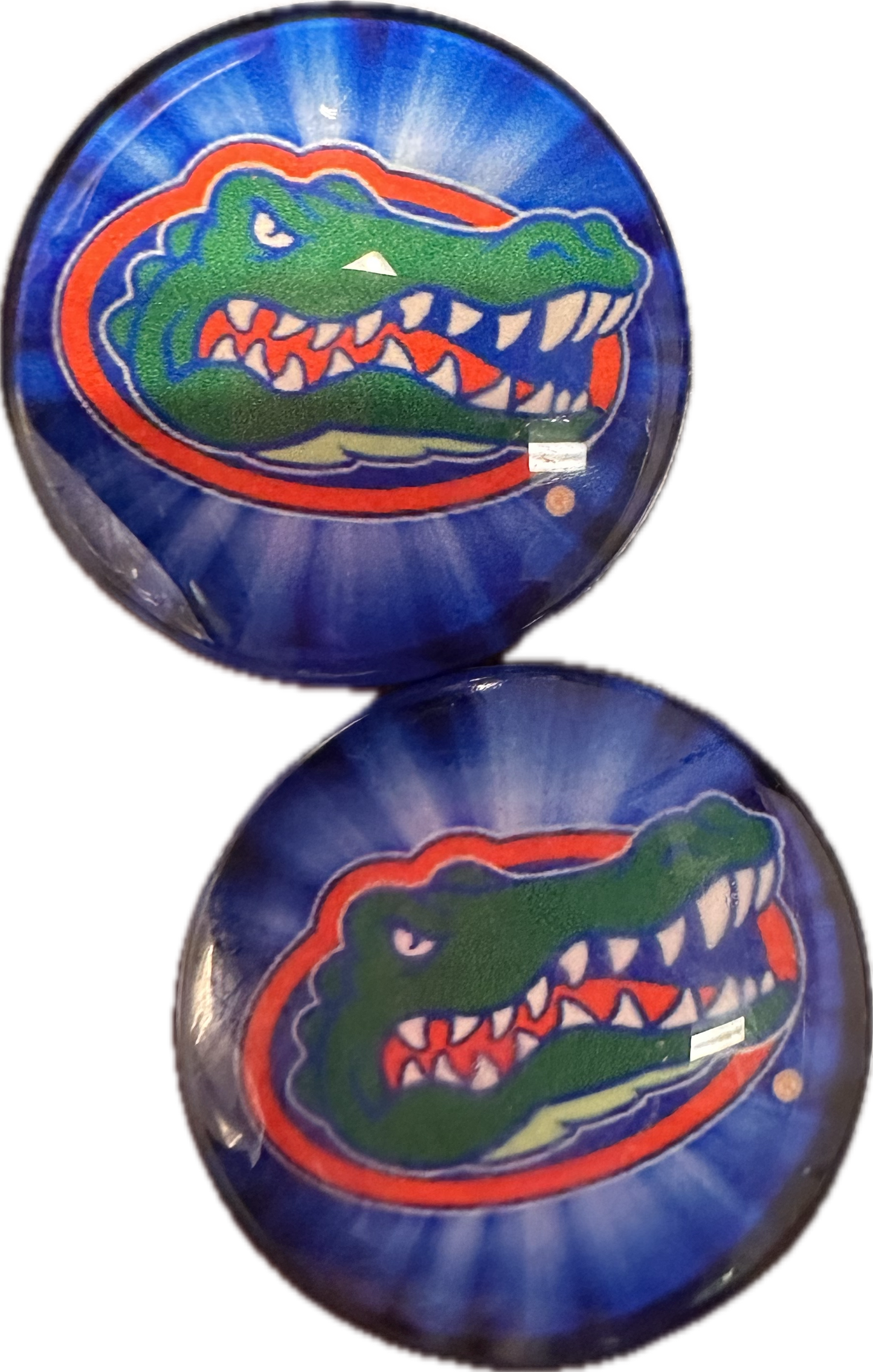 Florida Gators Cabochons acrylic charms pendants/ perfect for glueing on your DIY, charm bracelets, necklaces, bag charms, magnets, and so much more 10 different styles