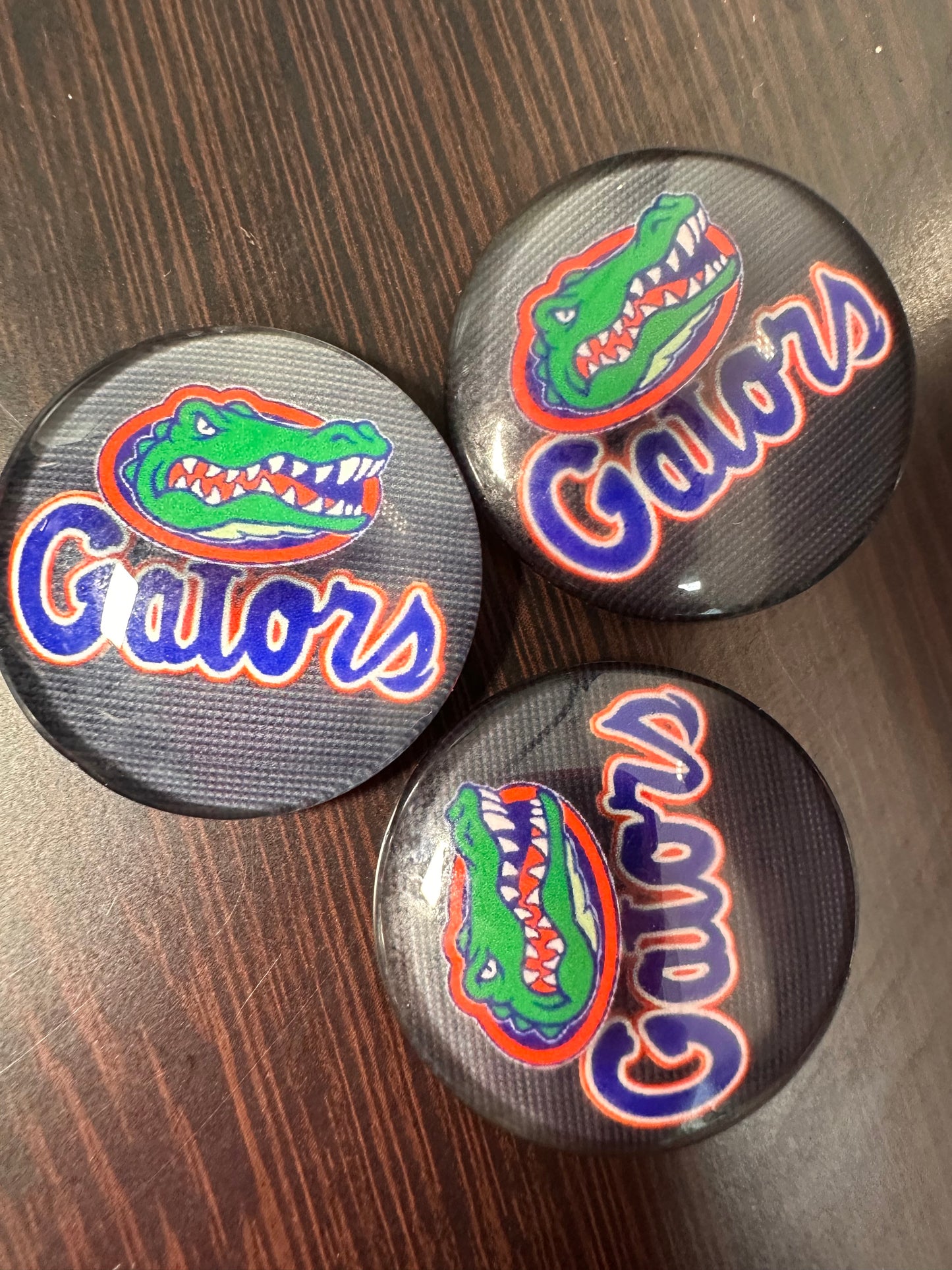 Florida Gators Cabochons acrylic charms pendants/ perfect for glueing on your DIY, charm bracelets, necklaces, bag charms, magnets, and so much more 10 different styles