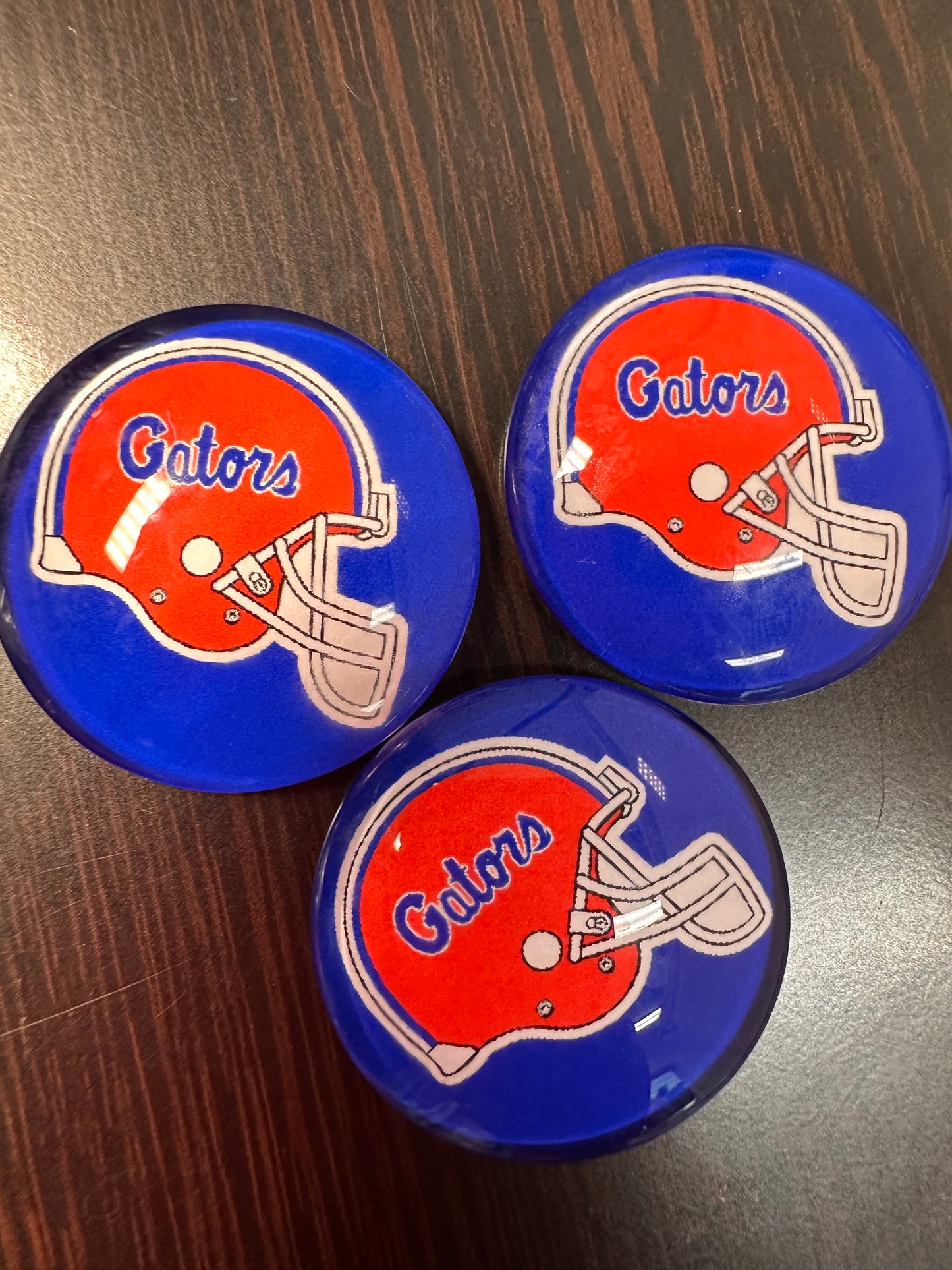 Florida Gators Cabochons acrylic charms pendants/ perfect for glueing on your DIY, charm bracelets, necklaces, bag charms, magnets, and so much more 10 different styles